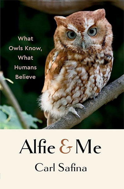 Alfie & Me, by Carl Safina