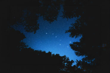 Big Dipper and trees