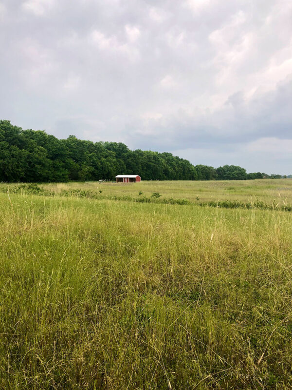 Farm