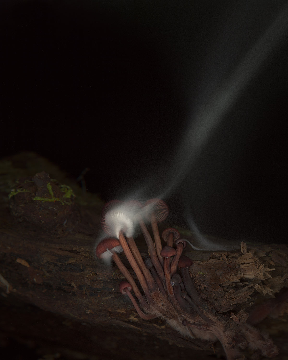 Exhale