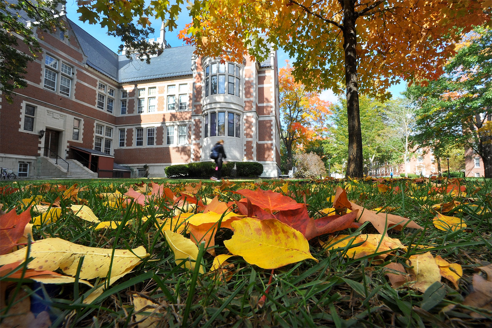 Bowdoin College