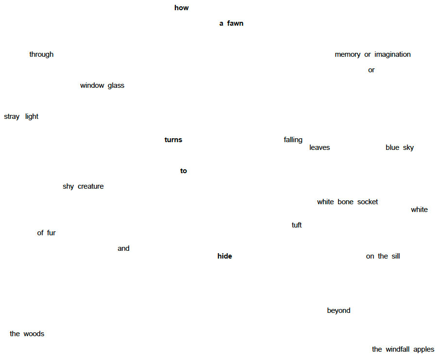 How a fawn, a poem by Jody Gladding