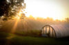 Sunrise over small greenhouse at Soul Fire Farm
