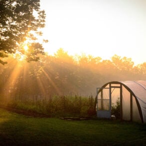 Sunrise over small greenhouse at Soul Fire Farm