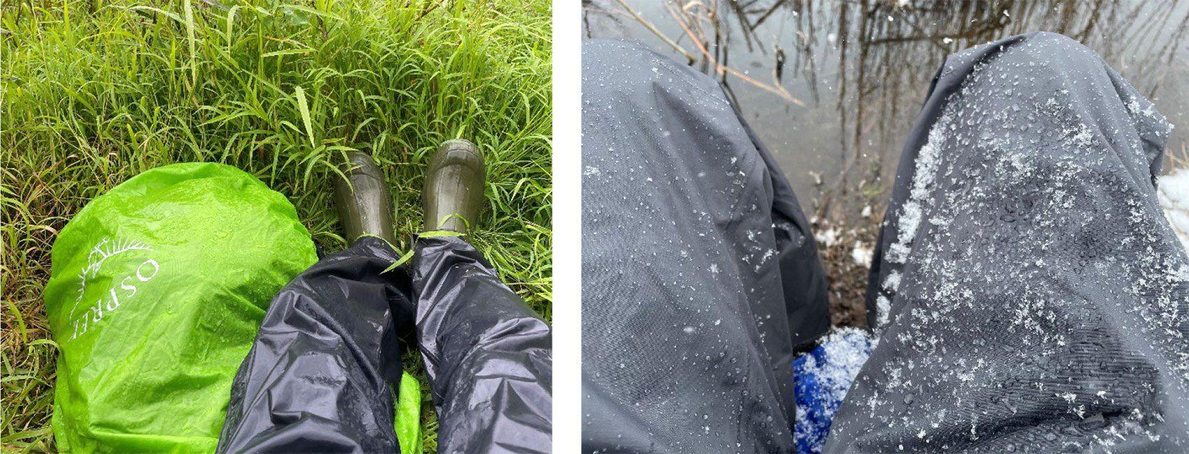 Sitting in rain or snow at the wetlands