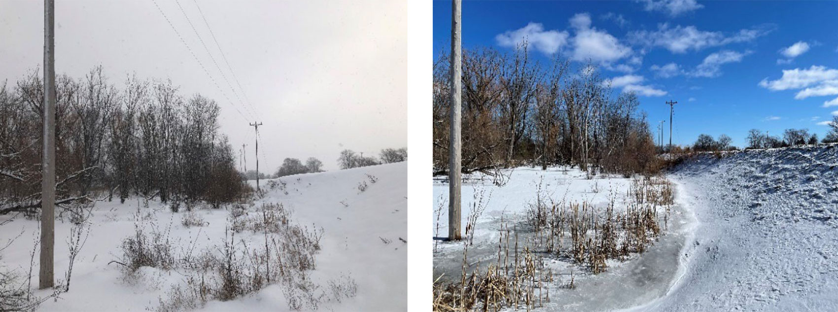 Wetlands in winter