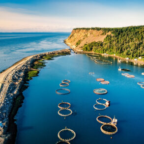 Aerial view of salmon farms, Grand Manan, Canada.
