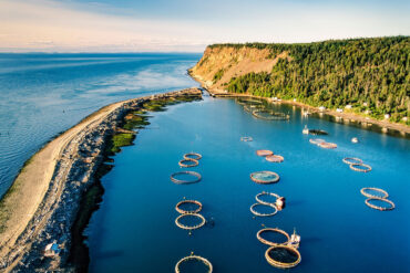 Aerial view of salmon farms, Grand Manan, Canada.