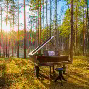 Grant piano in woods at sunrise