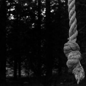 Rope against dark trees