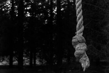 Rope against dark trees