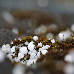 Hail on ground
