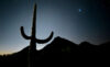 Silhouette of cactus and mountains at night