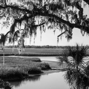 Cumberland Island marsh