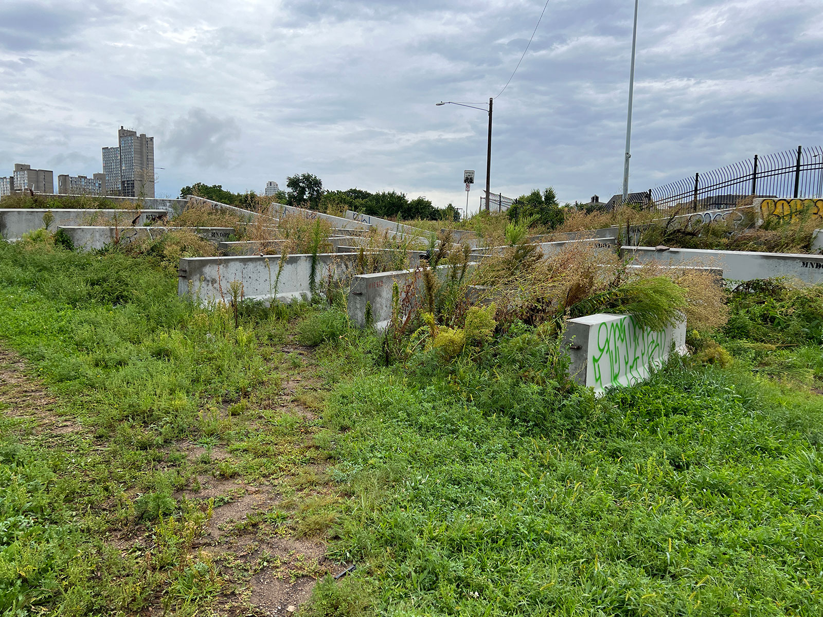 The Remnant in summer