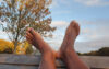 Black feet on fence railing