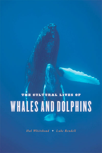 The Cultural Lives of Whales and Dolphins, by Hal Whitehead and Luke Rendell