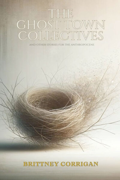 The Ghost Town Collectives, by Brittney Corrigan