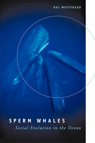 Sperm Whales: Social Evolution in the Ocean, by Hal Whitehead