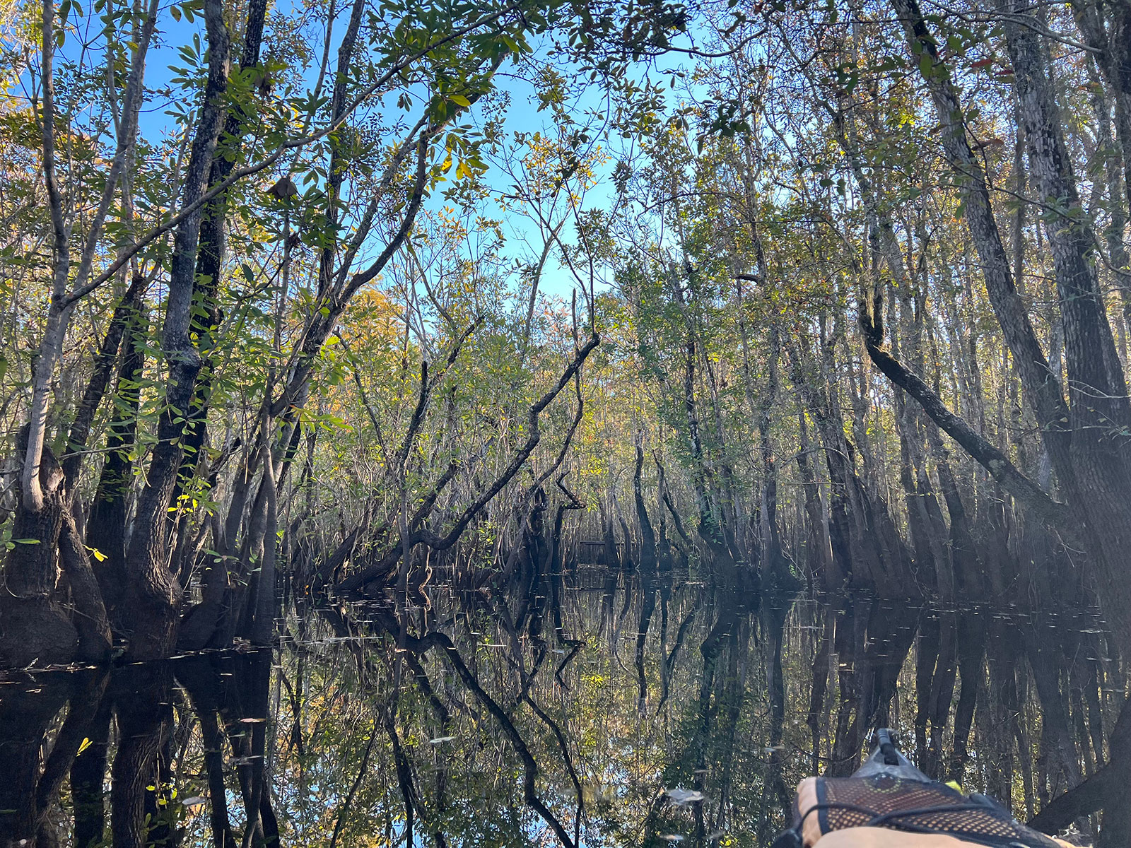 Creek