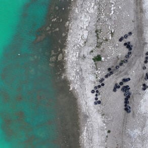 Discarded monster truck tires
