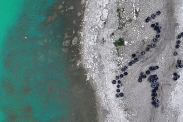 Discarded monster truck tires