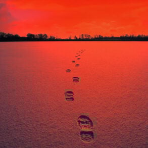 Footprints in snow with treeline in distance, red