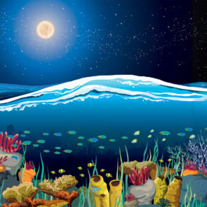 Illustration of full moon above sea with coral reef