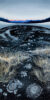 4, painting by Klara Maisch