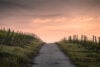 Fences and path with foreboding sunset