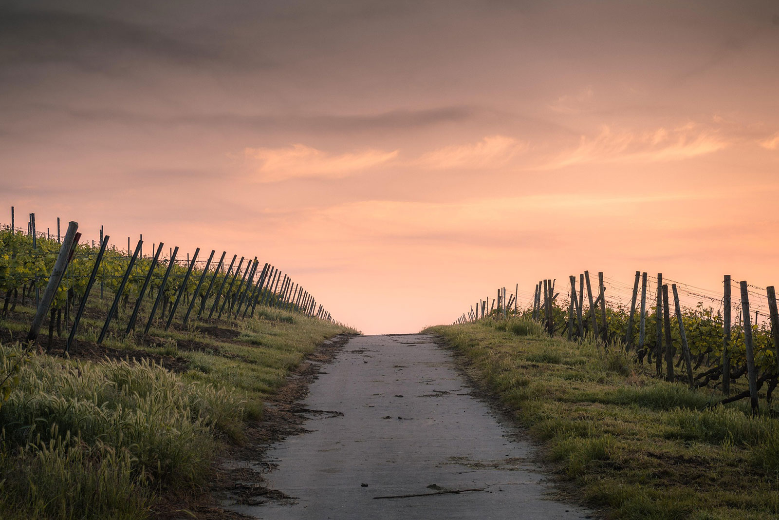 Fences and path with foreboding sunset