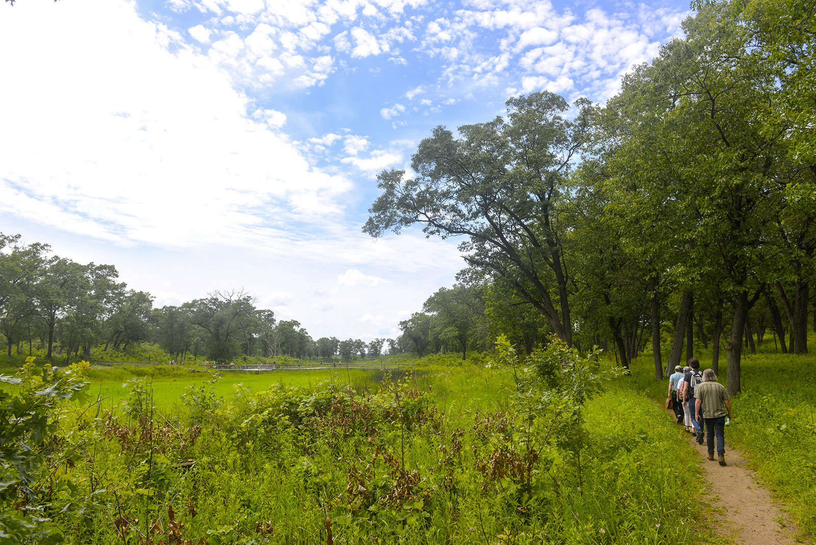 Congress participants explore the botanical life at Miller Woods in Gary, Indiana.