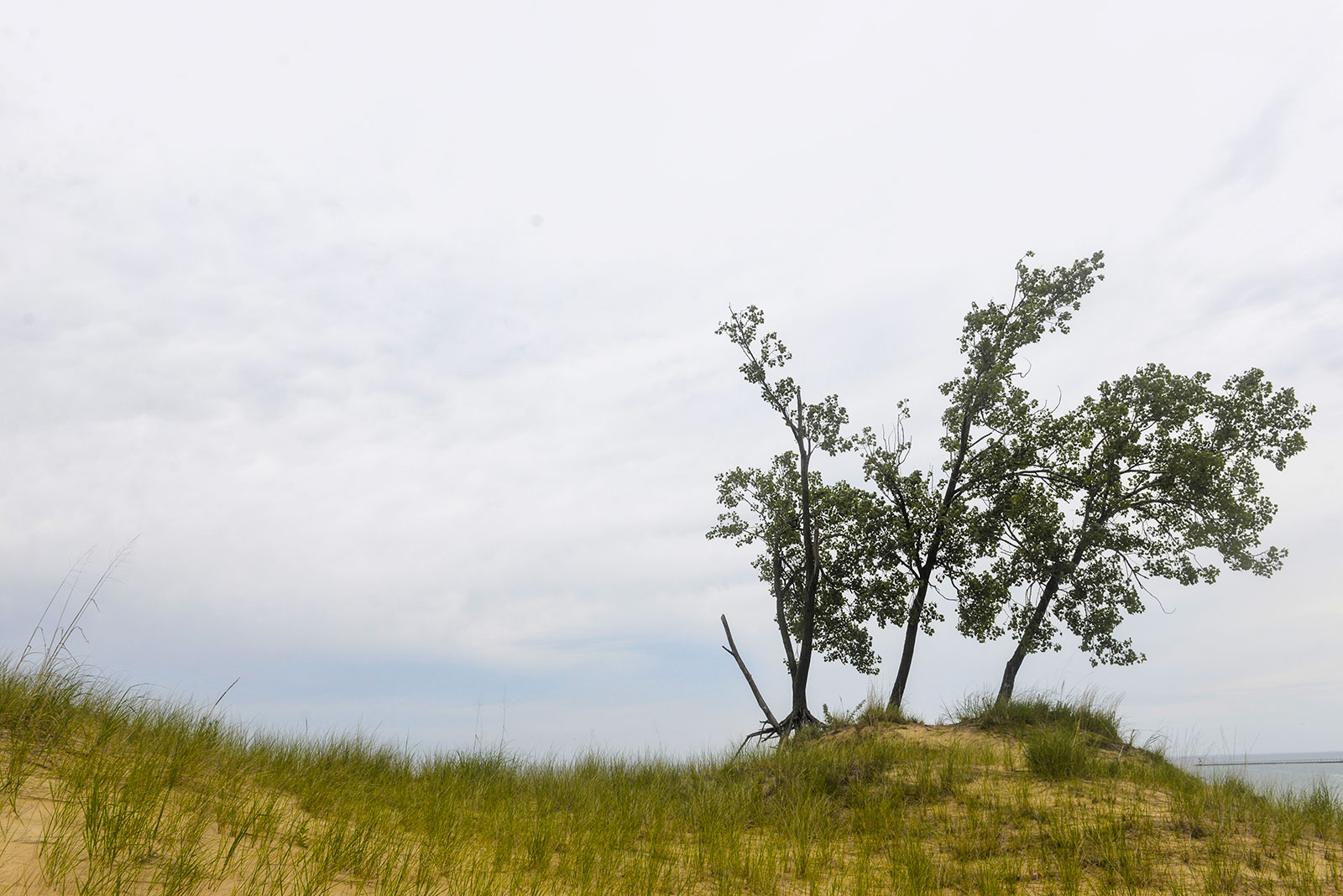 Indiana Dunes National Park