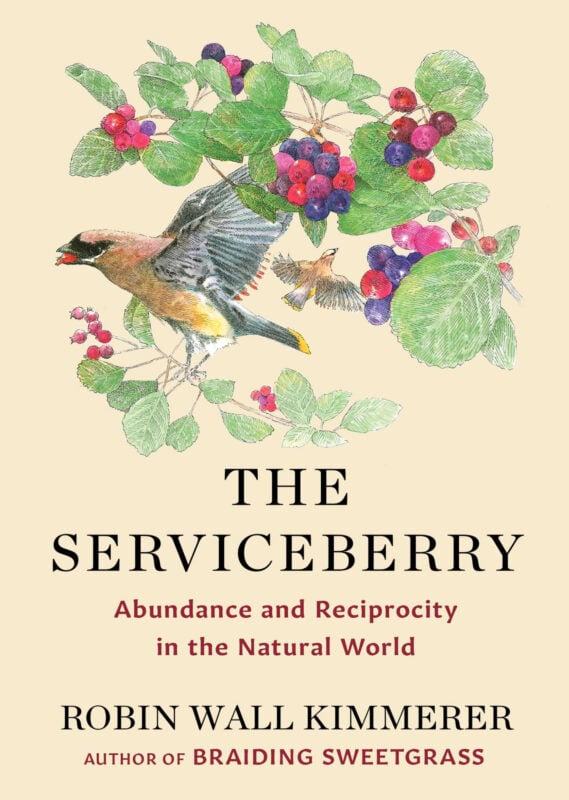 The Serviceberry: Abundance and Reciprocity in the Natural World, by Robin Wall Kimmerer