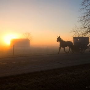 Amish buggy silhouette at sunrise