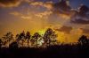 Everglades sunset