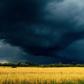 Storm clouds over bright field