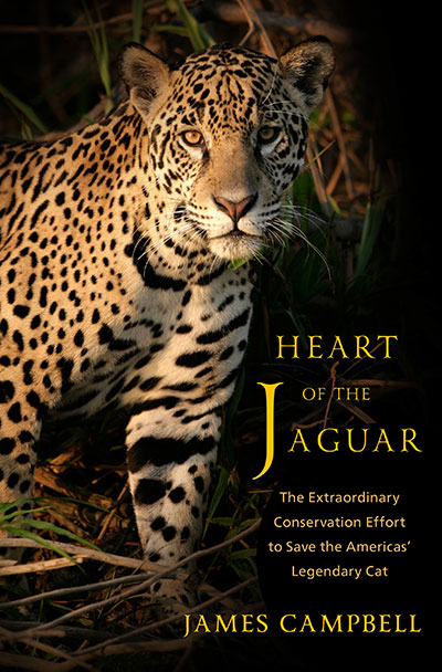 Heart of the Jaguar: The Extraordinary Conservation Effort to Save the Americas' Legendary Cat, by James Campbell