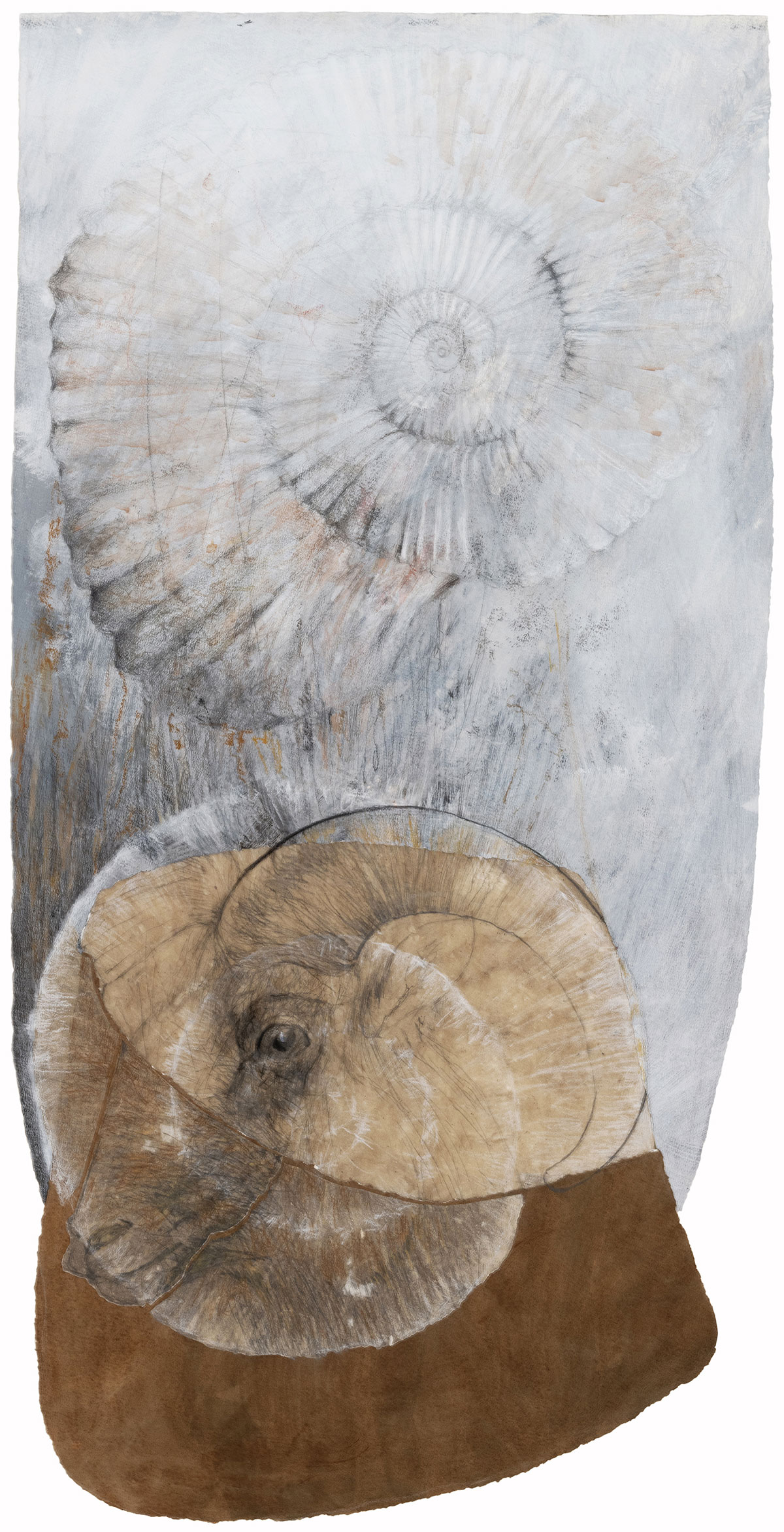 Shell