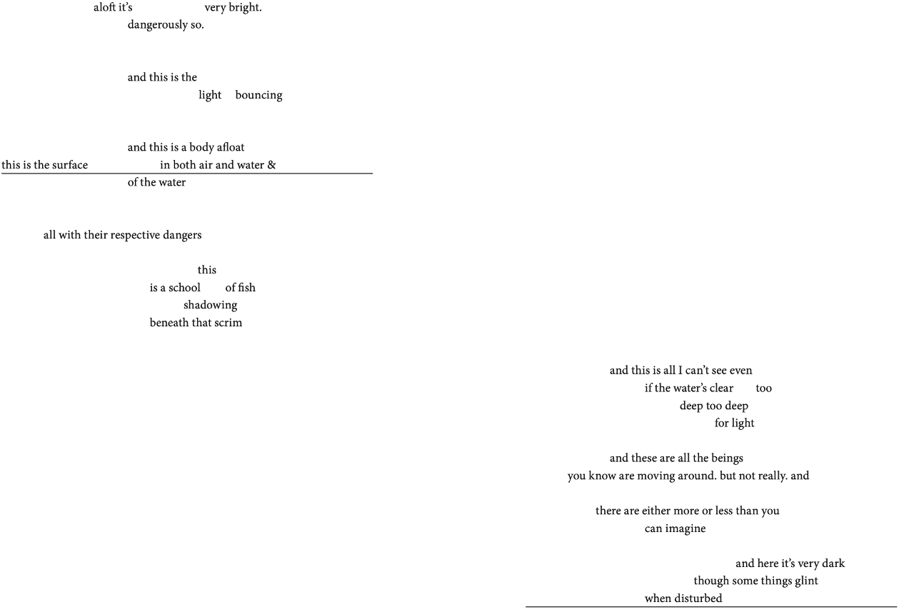 Poem by Elizabeth Bradfield