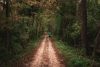 Male running on dirt road in woods
