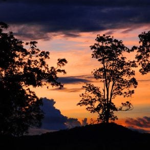 Mountain and trees silhouette at sunset