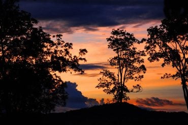 Mountain and trees silhouette at sunset