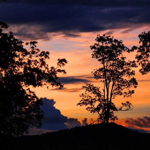 Mountain and trees silhouette at sunset