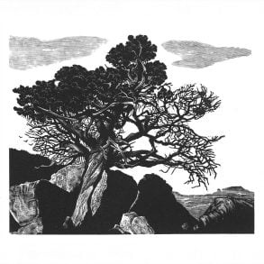 Black-and-white tree illustration