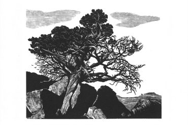 Black-and-white tree illustration