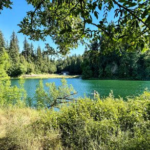 Lewis River at Two Forks Wildlife Area, Washington