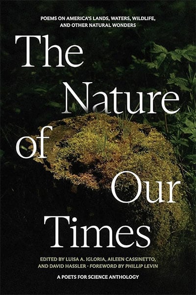 The Nature of Our Times