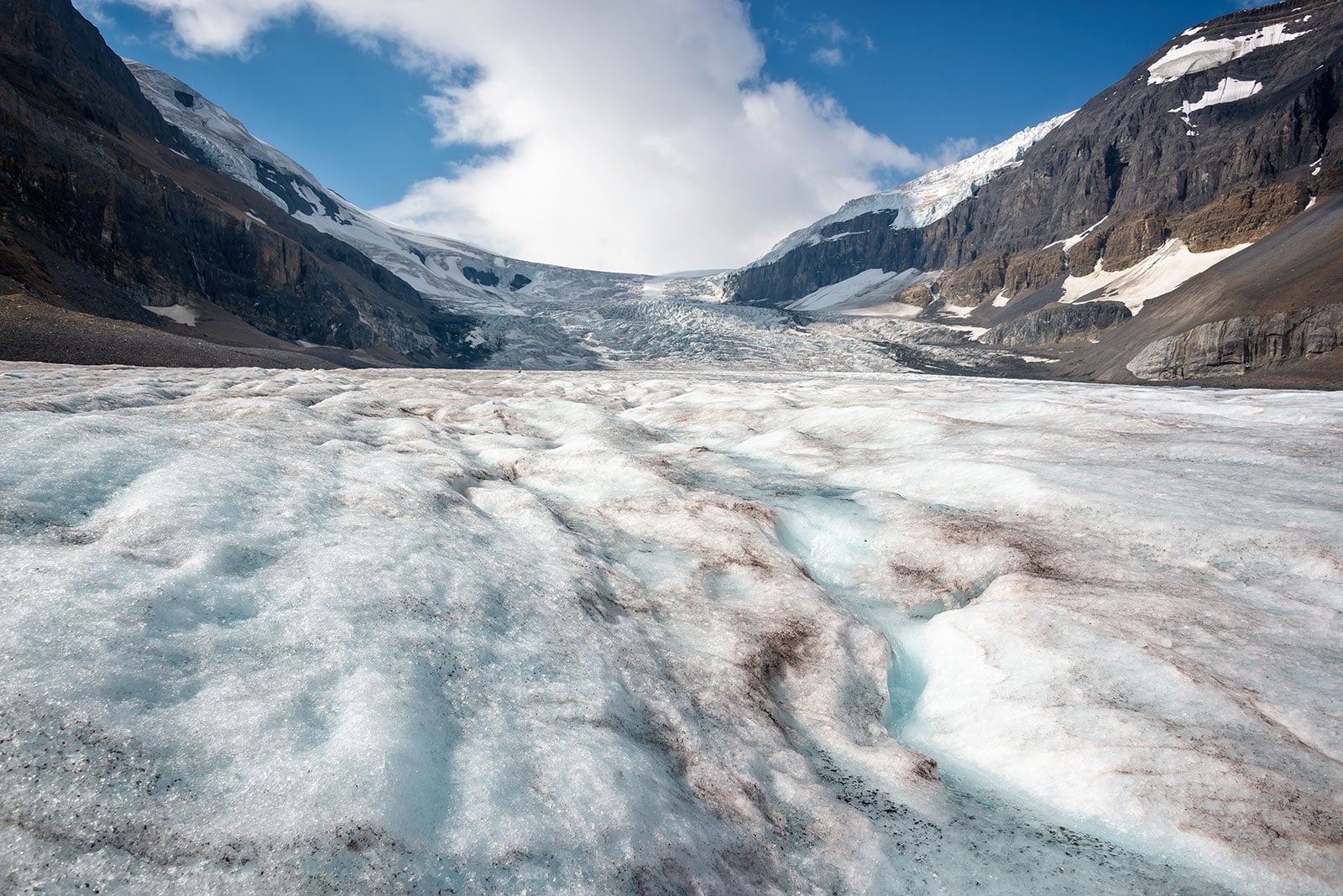 Athabasca Glacier