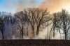 Trees with smoking ground following prescribed burn